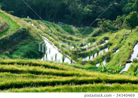 Shimen Terrace Shimen Terrace 34340469