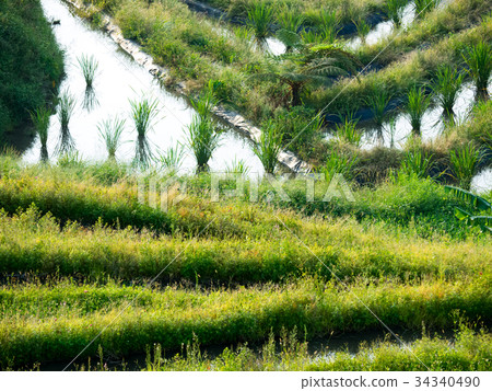 Shimen Terrace Shimen Terrace 34340490