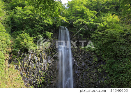 洋蔥的秋天 34340603