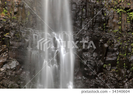 洋蔥的秋天 34340604