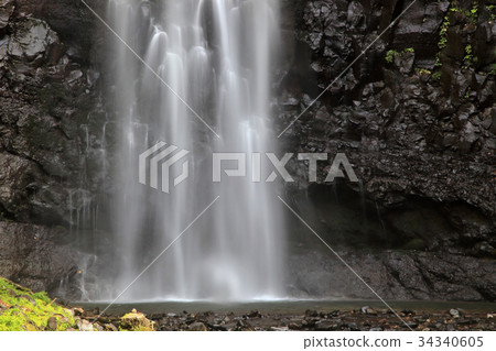 Fall of onion 34340605