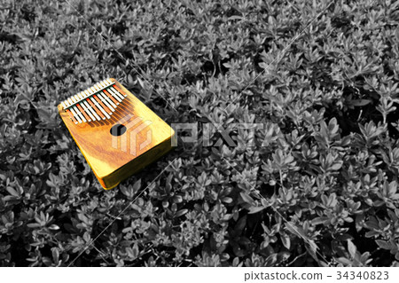 African folk instrument "Kalimba" African folk instrument "Kalimba" 34340823