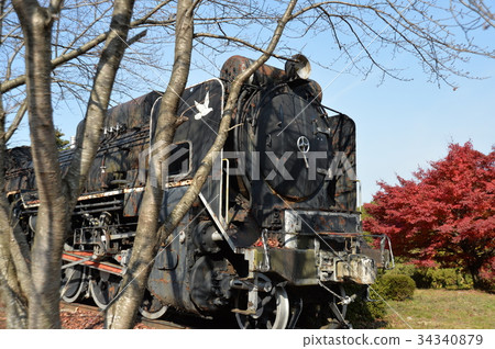 SL報廢車D51-1149（車牌號D51-999） 34340879