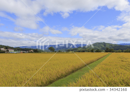 江原道洪川縣 34342168
