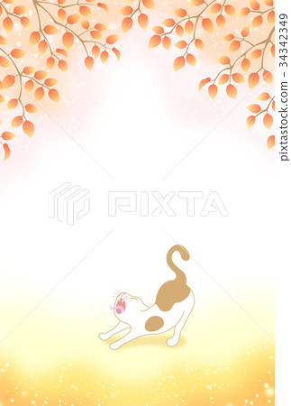 Cat cat yawn autumn autumn leaves Cat cat yawn autumn autumn leaves 34342349