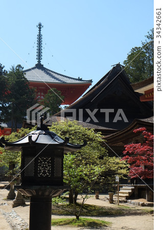 East Pagoda early summer 2016 part 4 34342661