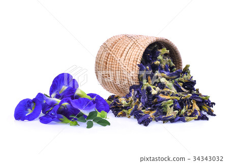 fresh and dried butterfly pea,blue pea,clitoria fresh and dried butterfly pea,blue pea,clitoria 34343032
