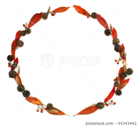 紅葉，橡子，松果，enokologsa和nanten的圈子 34343442