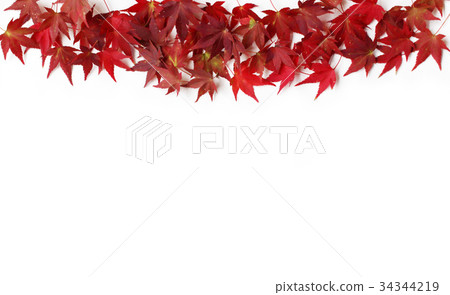 Ornament of red autumn leaves 34344219