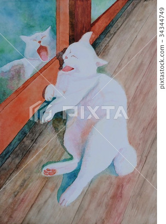 打呵欠的白色貓（水彩） 34344749