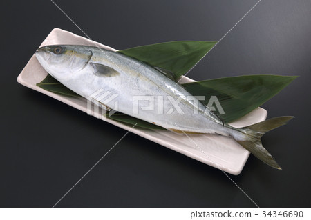 I have not I have not 34346690