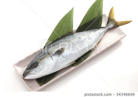 我沒有 我沒有 34346699