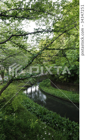 JR Hirano Station 34347251