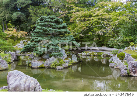 禪寺花園 34347649