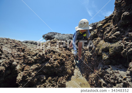 One boy is digging, help the fish, exploring, learning the rocks 34348352