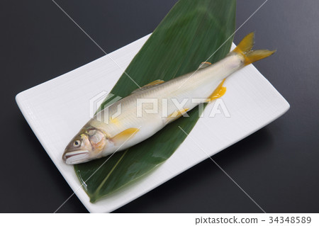 阿玉 阿玉 34348589