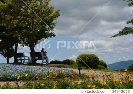 Nasu Flower World 2017-6-4 # 50 34348666