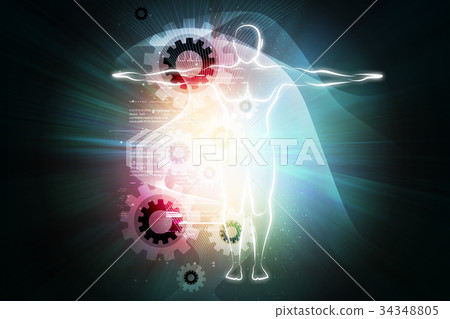 Human body 34348805