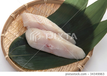 烏鴉松鼠 烏鴉松鼠 34349963