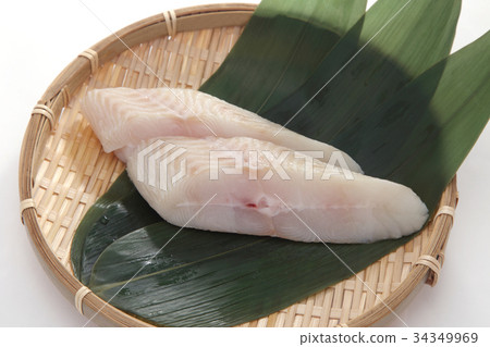 烏鴉松鼠 34349969