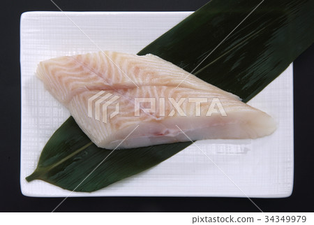 烏鴉松鼠 烏鴉松鼠 34349979