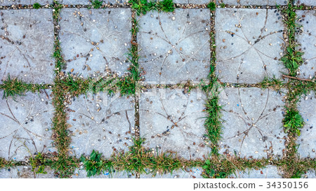 Tile in the city with small stones and grass 34350156