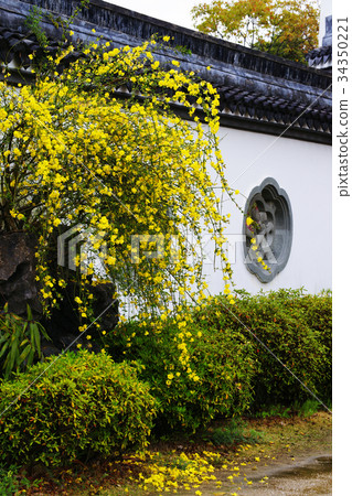 雲南吳梅 34350221