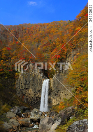 Autumnal foliage Seedlings Falls Autumnal foliage Seedlings Falls 34350632