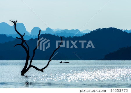 Branches in the lake with blue mountain. Branches in the lake with blue mountain. 34353773