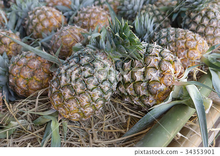 Fresh pineapple in the countryside market. Fresh pineapple in the countryside market. 34353901