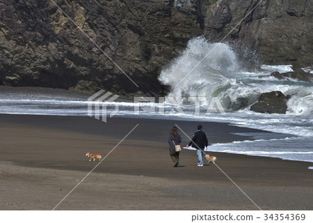 A couple and a dog taking a walk on the rough sea coast A couple and a dog taking a walk on the rough sea coast 34354369