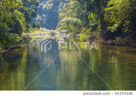Scenery in Khao Sok National Park in Thailand 34354386