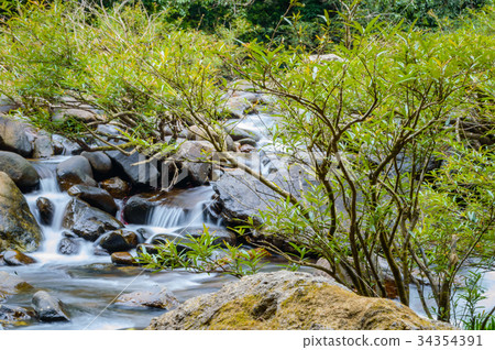 Scenery in Khao Sok National Park in Thailand 34354391