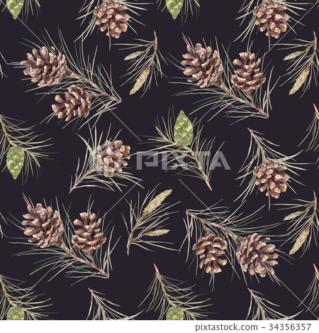 Watercolor fir cone pattern 34356357