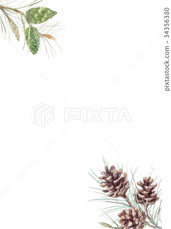 Watercolor fir cone composition Watercolor fir cone composition 34356380