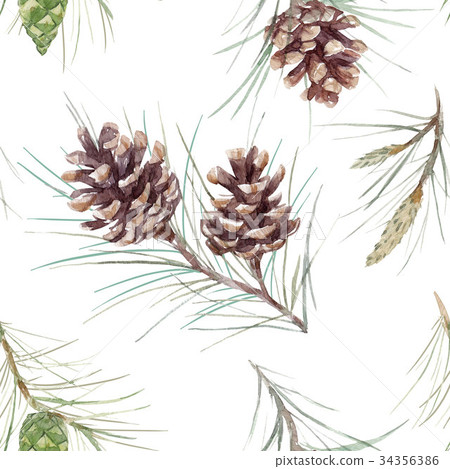 Watercolor fir cone pattern Watercolor fir cone pattern 34356386