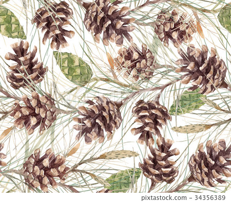 Watercolor fir cone pattern 34356389