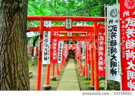 Devil goddess 34356891