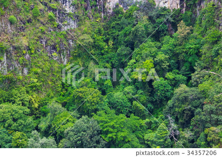 Aerial view of rain forest, Medan, Indonesia Aerial view of rain forest, Medan, Indonesia 34357206