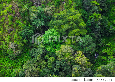 Aerial view of rain forest, Medan, Indonesia Aerial view of rain forest, Medan, Indonesia 34357224