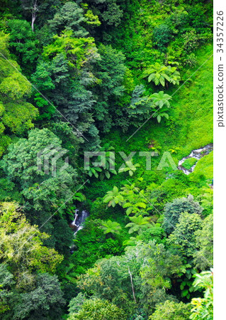Aerial view of rain forest, Medan, Indonesia Aerial view of rain forest, Medan, Indonesia 34357226
