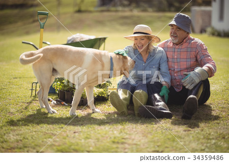 Senior couple caressing dog while sitting in their lawn. 34359486