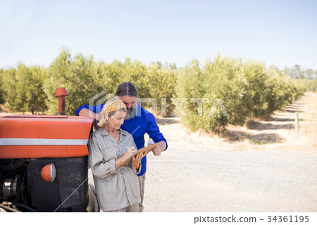 Couple discussing over clipboard in olive farm 34361195