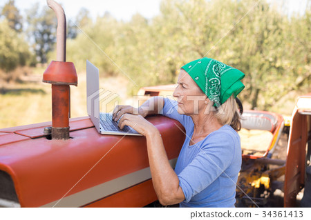 Woman using laptop in olive farm 34361413