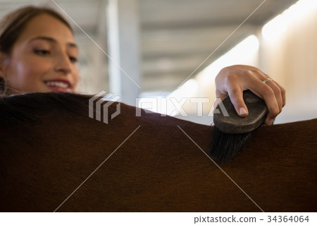 Young woman brushing brown horse 34364064