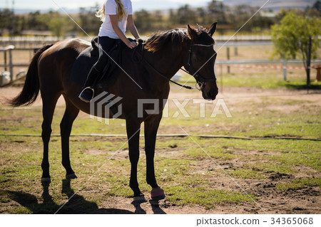 Girl riding a horse in the ranch 34365068