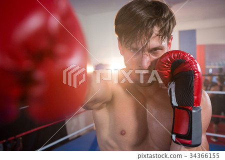 Portrait of young male boxer practicing in boxing ring 34366155