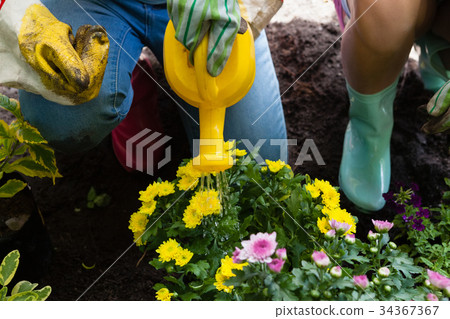 Low section of girl watering flowers with can by mother 34367367