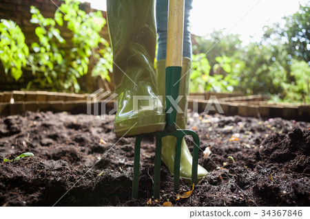 Low section of woman standing with gardening fork on dirt 34367846