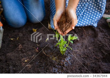 Girl with grandmother watering plants from cupped hands Girl with grandmother watering plants from cupped hands 34367944